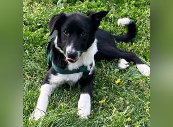 Herzensbrecherin Lena sucht ihre Familie ❤️