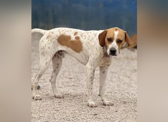 Cooper, sozial und freundlich