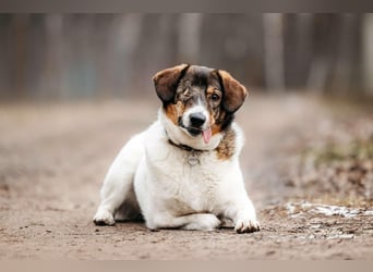 Besondere Agatha sucht ihre Menschen