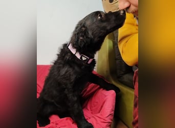 Bruna ❤️ sucht ihre Familie zum Schmusen