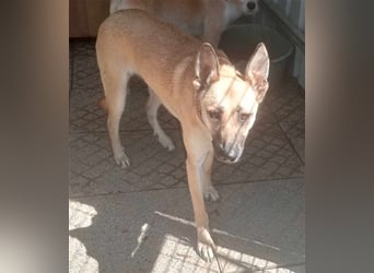 Liebe PRINCESA sucht ihr Traumkörbchen