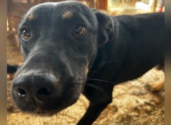 Percy ❤️ aufgeschlossen & verkuschelt!