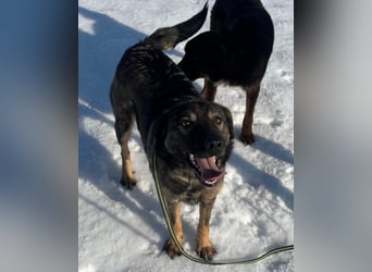 Saga ❤️ super lieb & menschenbezogen!