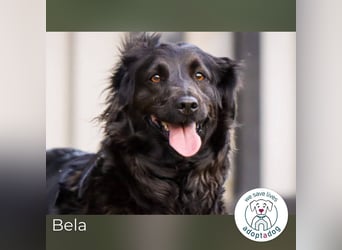 Bela: Stiller Mut und sanftes Wesen