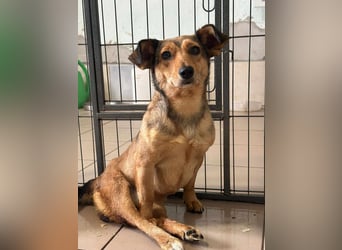 Bambi, geboren 2020 sucht tierliebe Menschen