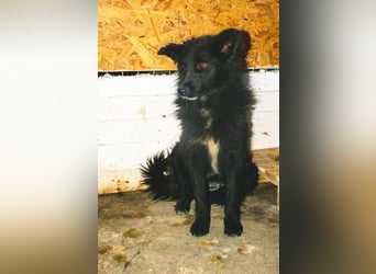 Holly - voller Hoffnung und Liebe