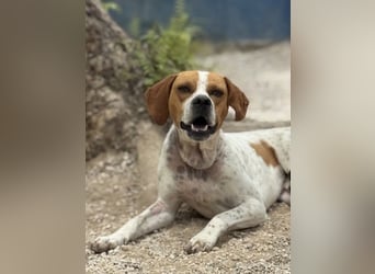 Cooper, hofft auf eine Chance