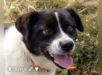 Kokonimix Bo und Benji suchen ab sofort ein Zuhause