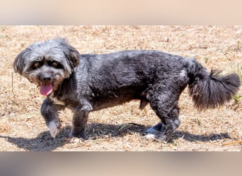 Kiko - ein charmanter Junge