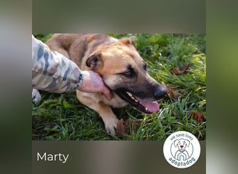 Marty sucht seine Menschen