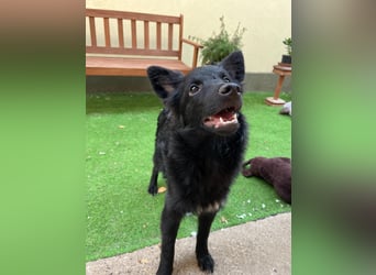 Fiona SR– Kleine Entdeckerin sucht liebevolles Zuhause