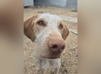 Zoe, ein toller Familienfreund