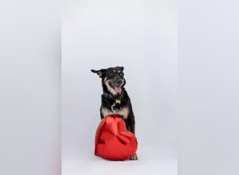 Wunderbare Michelle sucht genau dich!