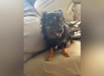 Isabel, sucht ihre Familie