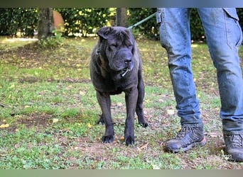 Morgan - wird hoffentlich alles besser