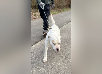 Berni auf der Suche nach ihren Menschen