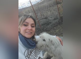 CHU'SI gerettet aus Horror Tötung Slatina, Ostern '22