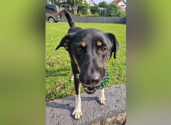 Jerry ist mein Name – und warte in PLZ 69509 auf Besuch von DIR