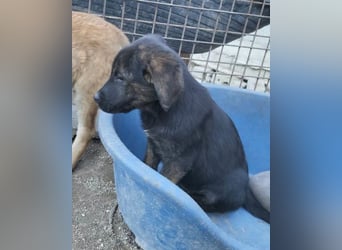 Ludwig ❤️ unser lieber Herzensbrecher