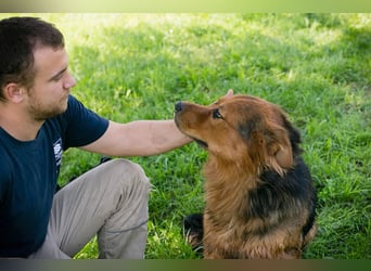 Milo – Harte Schale, weicher Kern