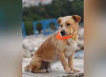 Max & Kika ❤️ liebevolles Zuhause gesucht