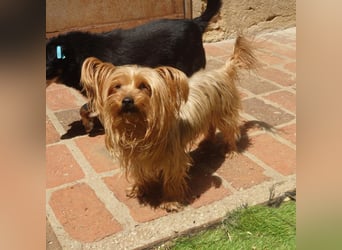 Gaby