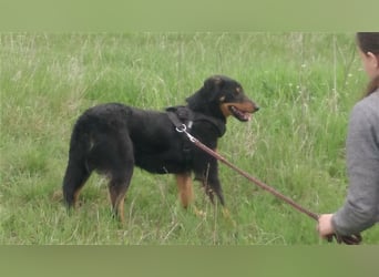 MAILA, sucht Menschen mit Herz (mit Videos!)