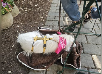 Larry: freut sich auf Besuch nahe Bonn