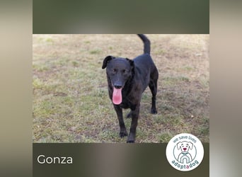 Gonza – Bewegungs-Fan sucht Nähe