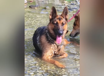 Kira wünscht sich eine liebvolle Familie