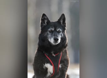 Liebevolle Anita sucht ihre Familie
