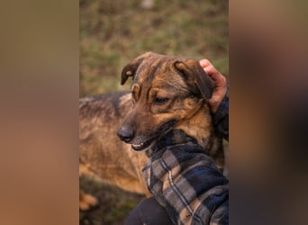Mimi: Mit einem Lächeln ins Glück