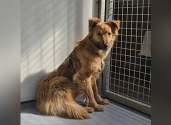 Unsere schüchterne Dani sucht Dich