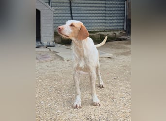 Zoe, Sie wartet schon so lange