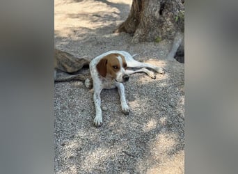 Cooper, sozial und freundlich
