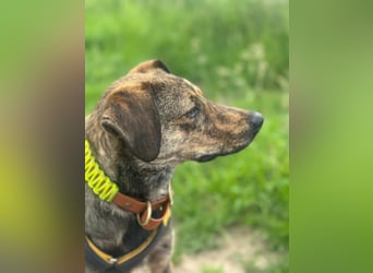 Paco: freut sich über Besuch in Bremen