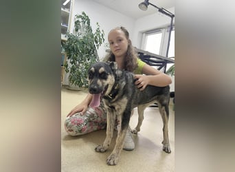 Aktive Tina sucht ihre eigene Familie