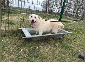 Fibi, geboren 01.06.2021, 50cm sucht ihr Körbchen