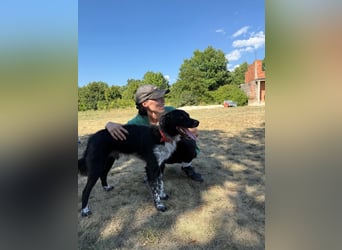 Süßfratz Bruno sucht sein Zuhause ❤️