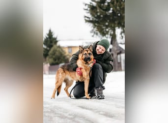Freundlicher Muchtar sucht seine Familie