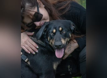 Yamy – unkompliziert und temperamentvoll