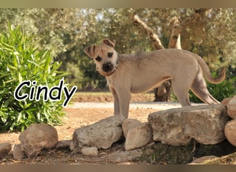 Lösen Sie mit Cindy das Rätsel des Lebens?