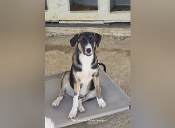 Wilma wünscht sich eine tolle Familie!