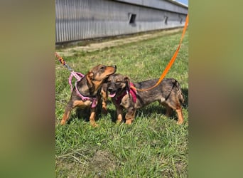 Nora sucht eine liebevolle Familie