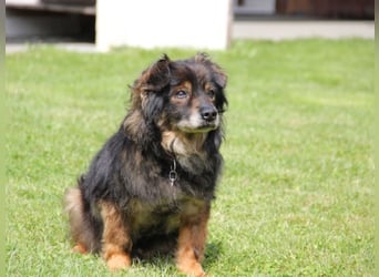 FRODO sucht ein Zuhause