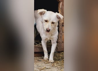 Kleine Prinzessin *ANNA* sucht Familienanschluß