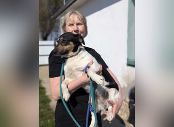 Emi, geboren 03.2022, 39 cm wünscht sich eine tolle Familie