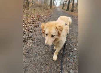 Fly sucht ein neues Zuhause