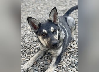 Aktive Tina sucht ihre eigene Familie