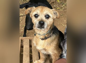 Micky ist ein Traumjunge und liebt das Leben